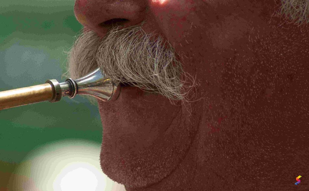 Define Moustache, Moustache Meaning, Moustache Examples, Moustache