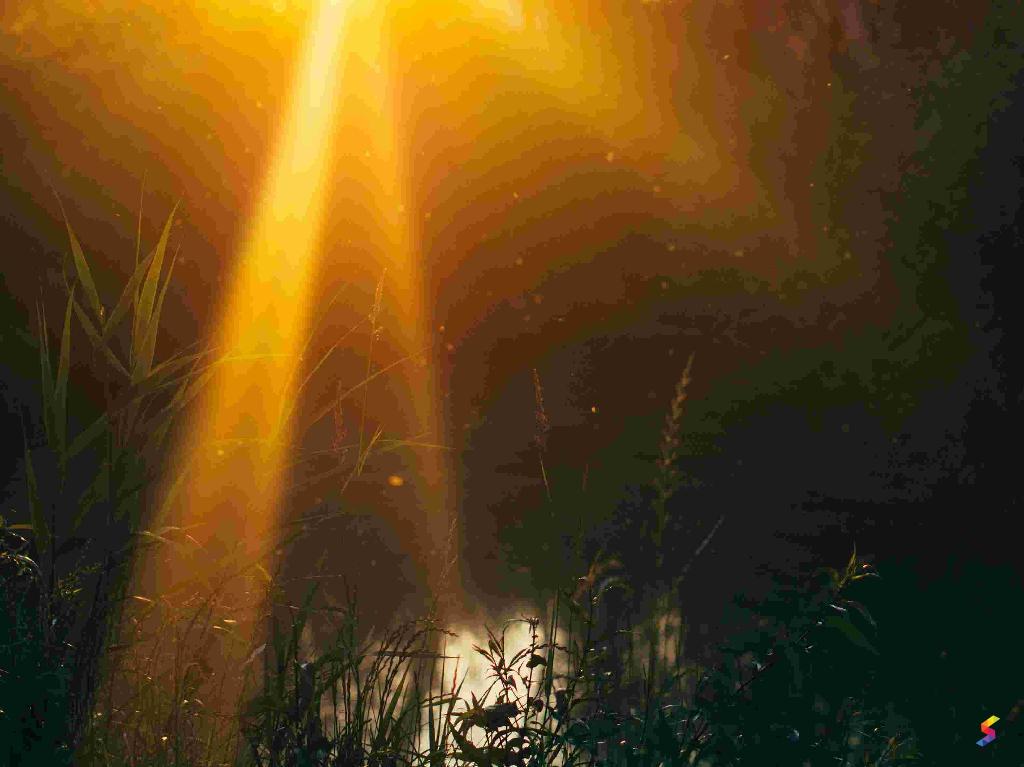 Meaning Of Ray