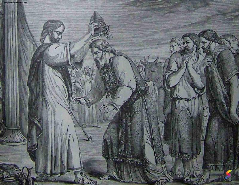 Define Sheer Sheer Meaning Sheer Examples Sheer Synonyms Sheer Define sheer sheer meaning sheer examples sheer synonyms sheer