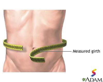 Define Girth, Girth Meaning, Girth Examples, Girth Synonyms, Girth ...