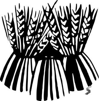 Define Sheaf, Sheaf Meaning, Sheaf Examples, Sheaf Synonyms, Sheaf ...
