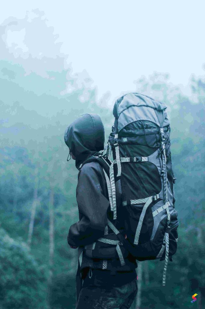 Backpacking Meaning