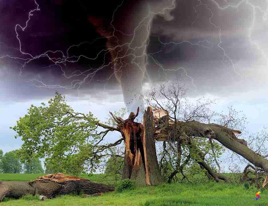 Define Tornado, Tornado Meaning, Tornado Examples, Tornado Synonyms