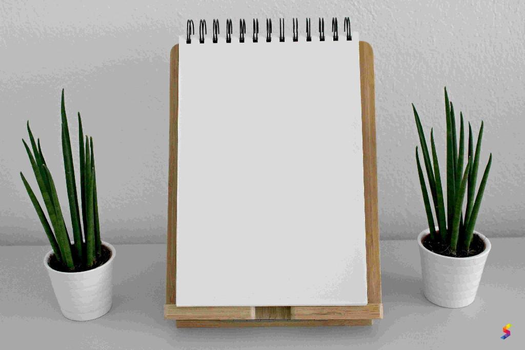 Define Pad, Pad Meaning, Pad Examples, Pad Synonyms, Pad Images, Pad