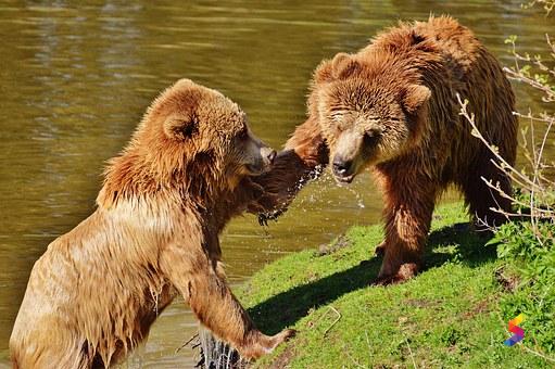 Define Slap Slap Meaning Slap Examples Slap Synonyms Slap Images Define Slap Slap Meaning Slap Examples Slap Synonyms Slap Images