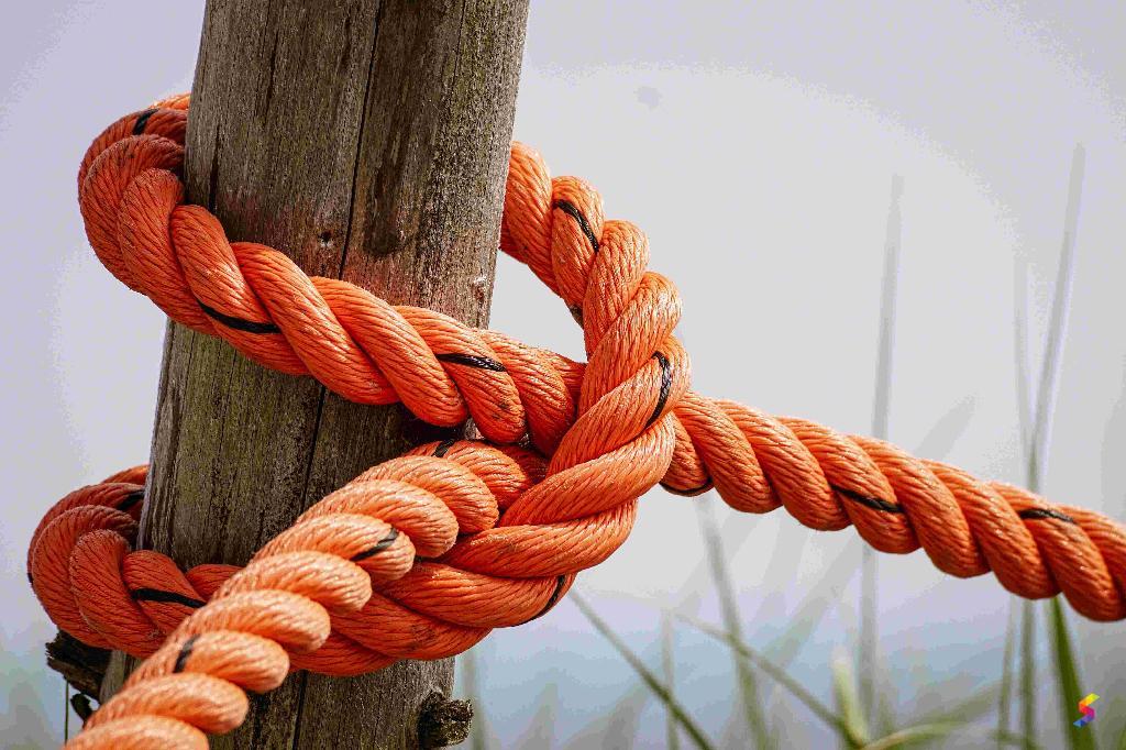 Define Knot Knot Meaning Knot Examples Knot Synonyms Knot Images Define Knot Knot Meaning Knot Examples Knot Synonyms Knot Images