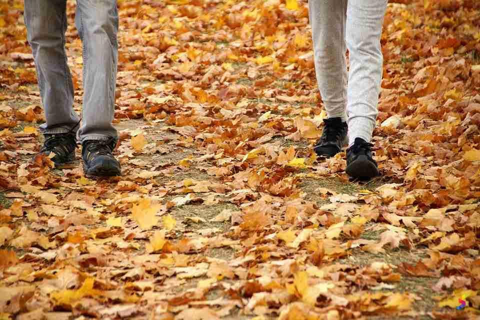 Rustle In English – Rustling Meaning – YOFU