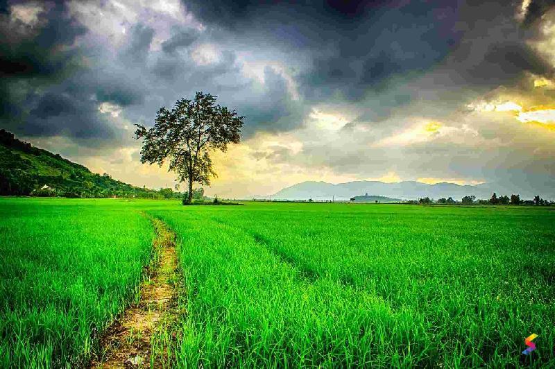Define Nature, Nature Meaning, Nature Examples, Nature Synonyms, Nature ...