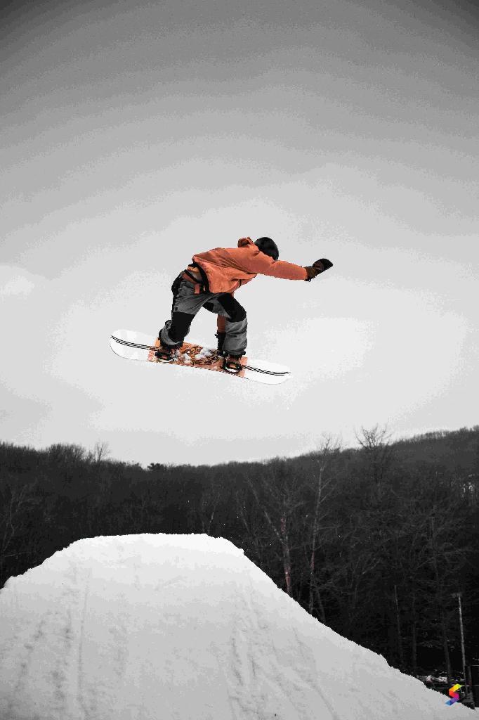 Define Snowboard, Snowboard Meaning, Snowboard Examples, Snowboard