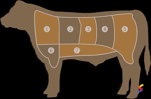 Define Flank, Flank Meaning, Flank Examples, Flank Synonyms, Flank Images,  Flank Vernacular, Flank Usage, Flank Rootwords