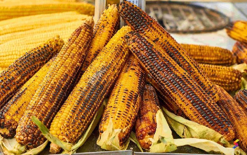 Define Corn, Corn Meaning, Corn Examples, Corn Synonyms, Corn Images