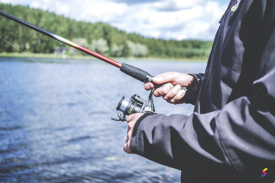 Define Bait Bait Meaning Bait Examples Bait Synonyms Bait Images Bait Vernacular Bait Usage Bait Rootwords Smartvocab Define Bait Bait Meaning Bait Examples Bait Synonyms Bait Images Bait Vernacular Bait Usage Bait Rootwords Smartvocab
