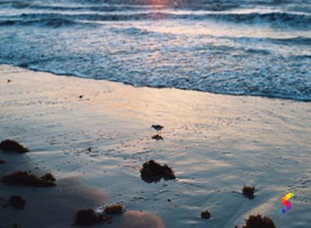 Define Recede, Recede Meaning, Recede Examples, Recede Synonyms, Recede ...