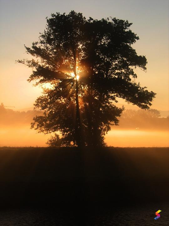 Define Ambience, Ambience Meaning, Ambience Examples, Ambience Synonyms ...