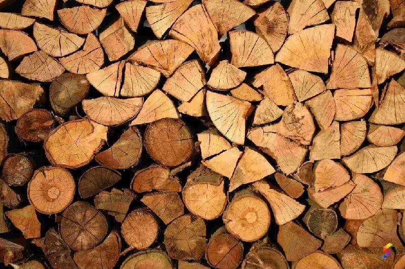 Define Wood, Wood Meaning, Wood Examples, Wood Synonyms, Wood Images