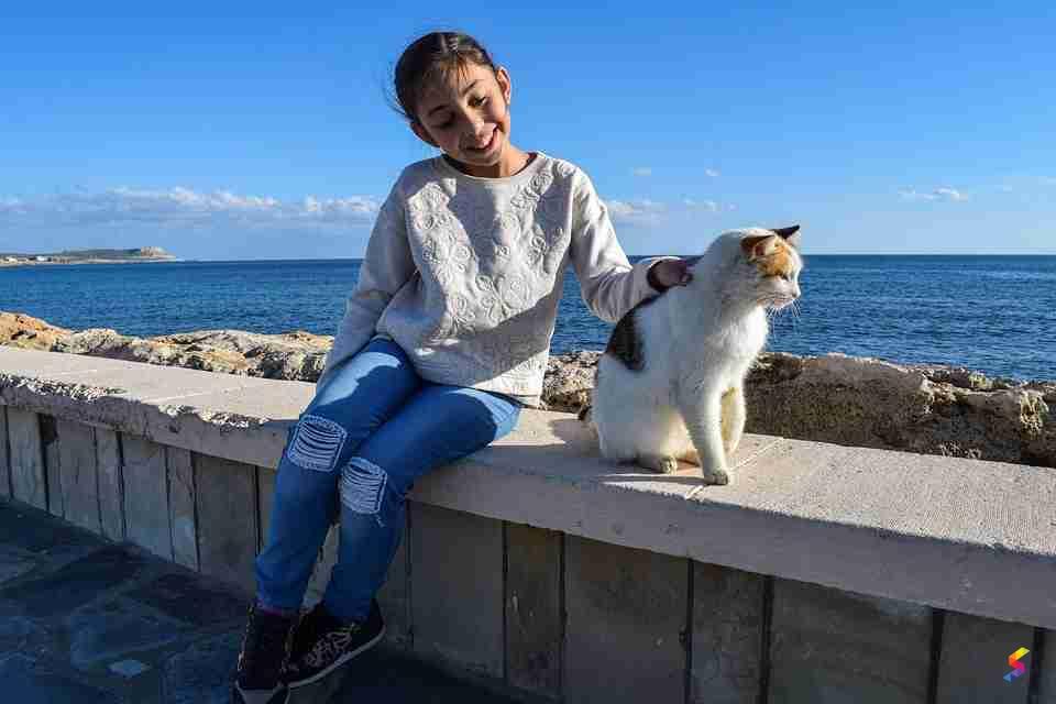 Define Penchant, Penchant Meaning, Penchant Examples, Penchant Synonyms ...