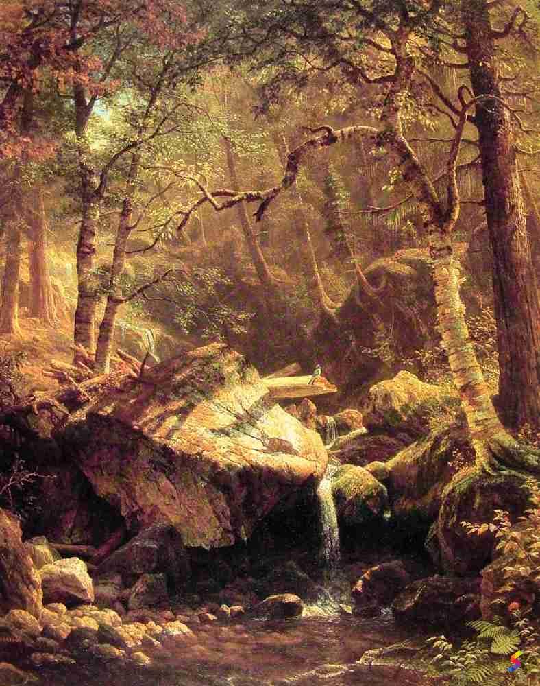 Define Brook, Brook Meaning, Brook Examples, Brook Synonyms, Brook ...