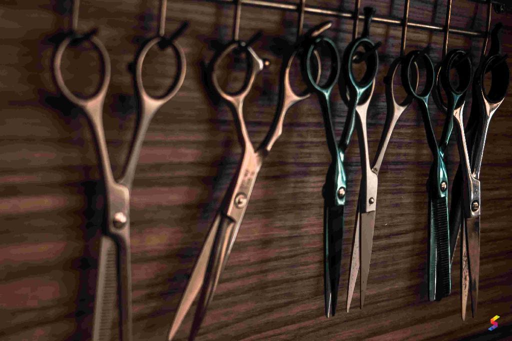 Define Scissors, Scissors Meaning, Scissors Examples, Scissors Synonyms
