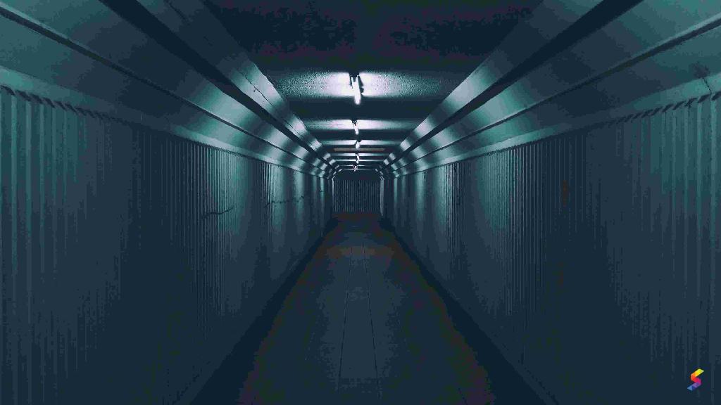 Define Tunnel, Tunnel Meaning, Tunnel Examples, Tunnel Synonyms, Tunnel