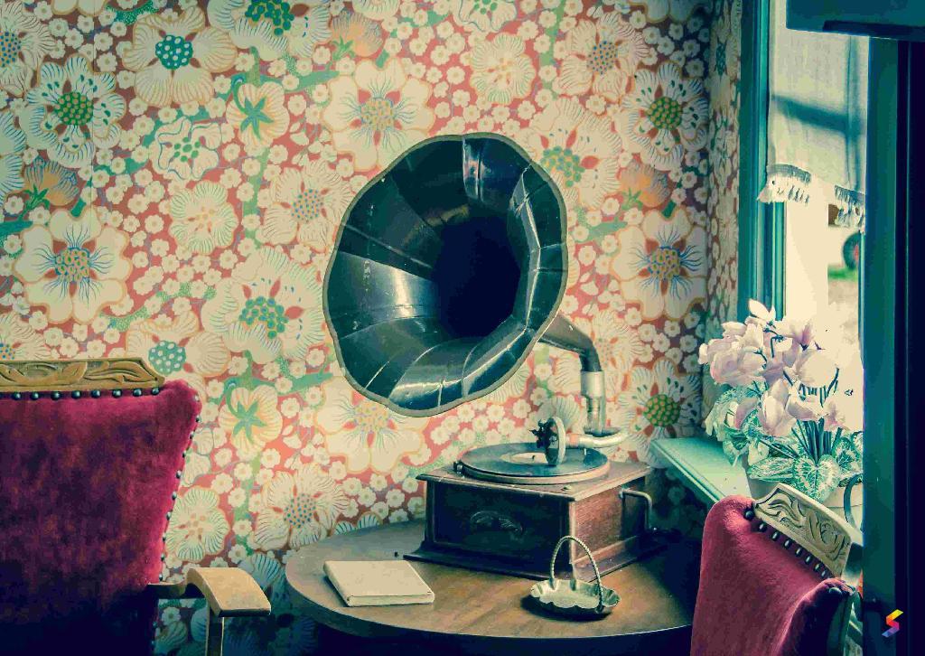 Define Vintage, Vintage Meaning, Vintage Examples, Vintage Synonyms