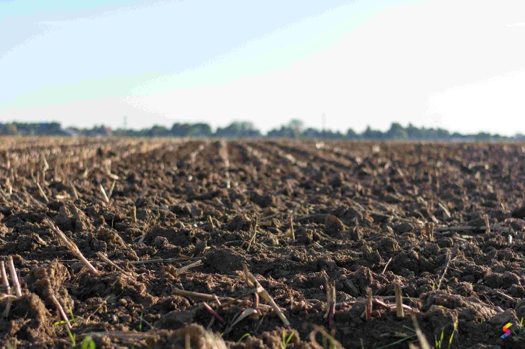 Define Land, Land Meaning, Land Examples, Land Synonyms, Land Images