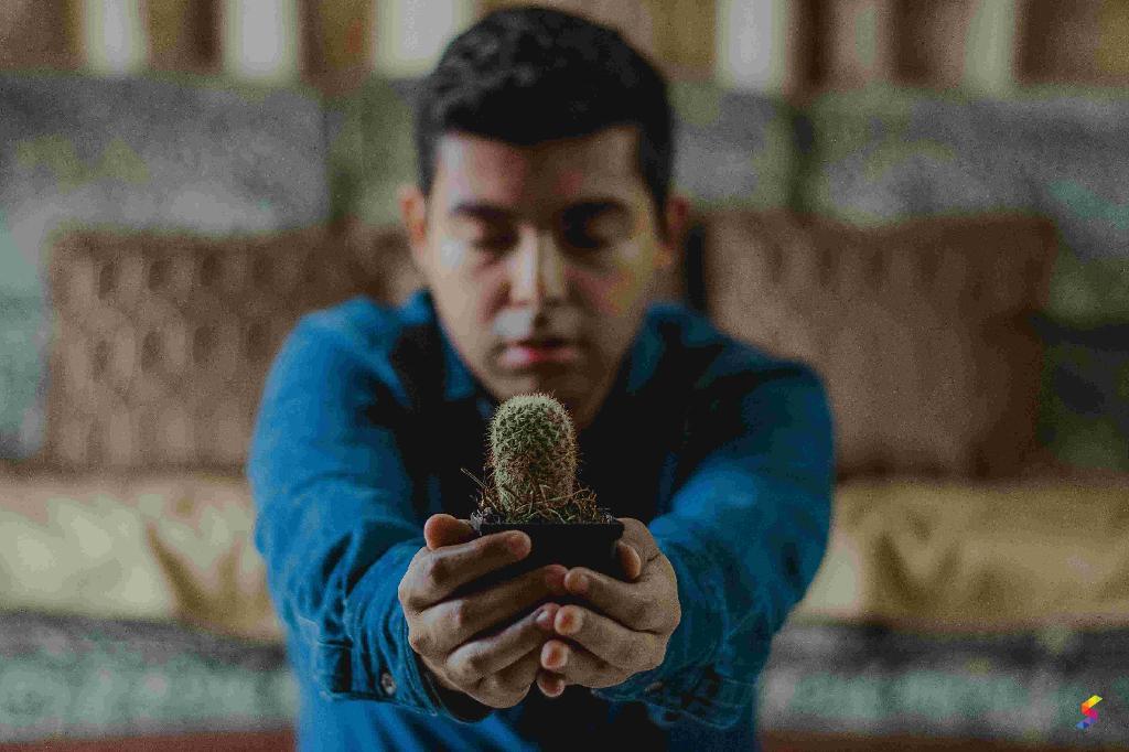 Define Invitation, Invitation Meaning, Invitation Examples, Invitation