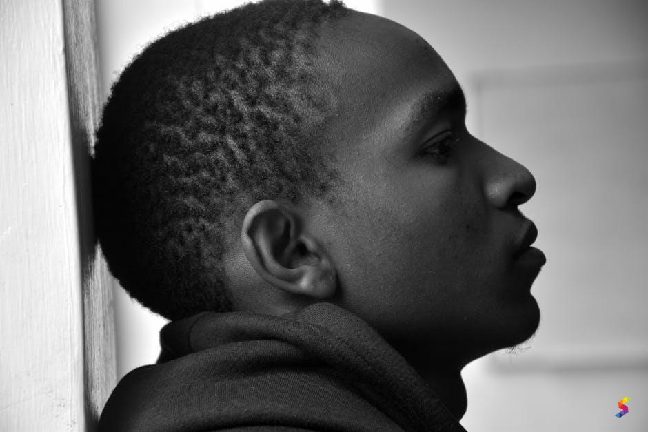 Define Pate, Pate Meaning, Pate Examples, Pate Synonyms, Pate Images