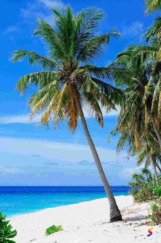 Define Scenic Scenic Meaning Scenic Examples Scenic Synonyms Scenic define-scenic-scenic-meaning-scenic-examples-scenic-synonyms-scenic
