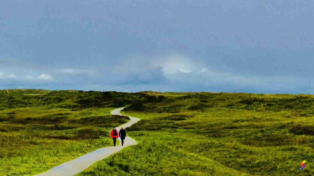 Define Path, Path Meaning, Path Examples, Path Synonyms, Path Images ...