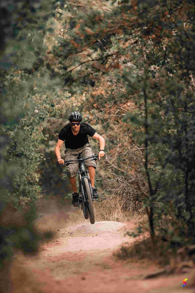 Define Ride, Ride Meaning, Ride Examples, Ride Synonyms, Ride Images ...