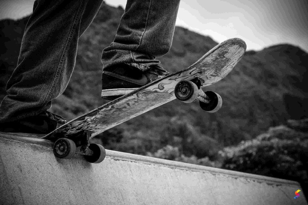 Define Skate, Skate Meaning, Skate Examples, Skate Synonyms, Skate