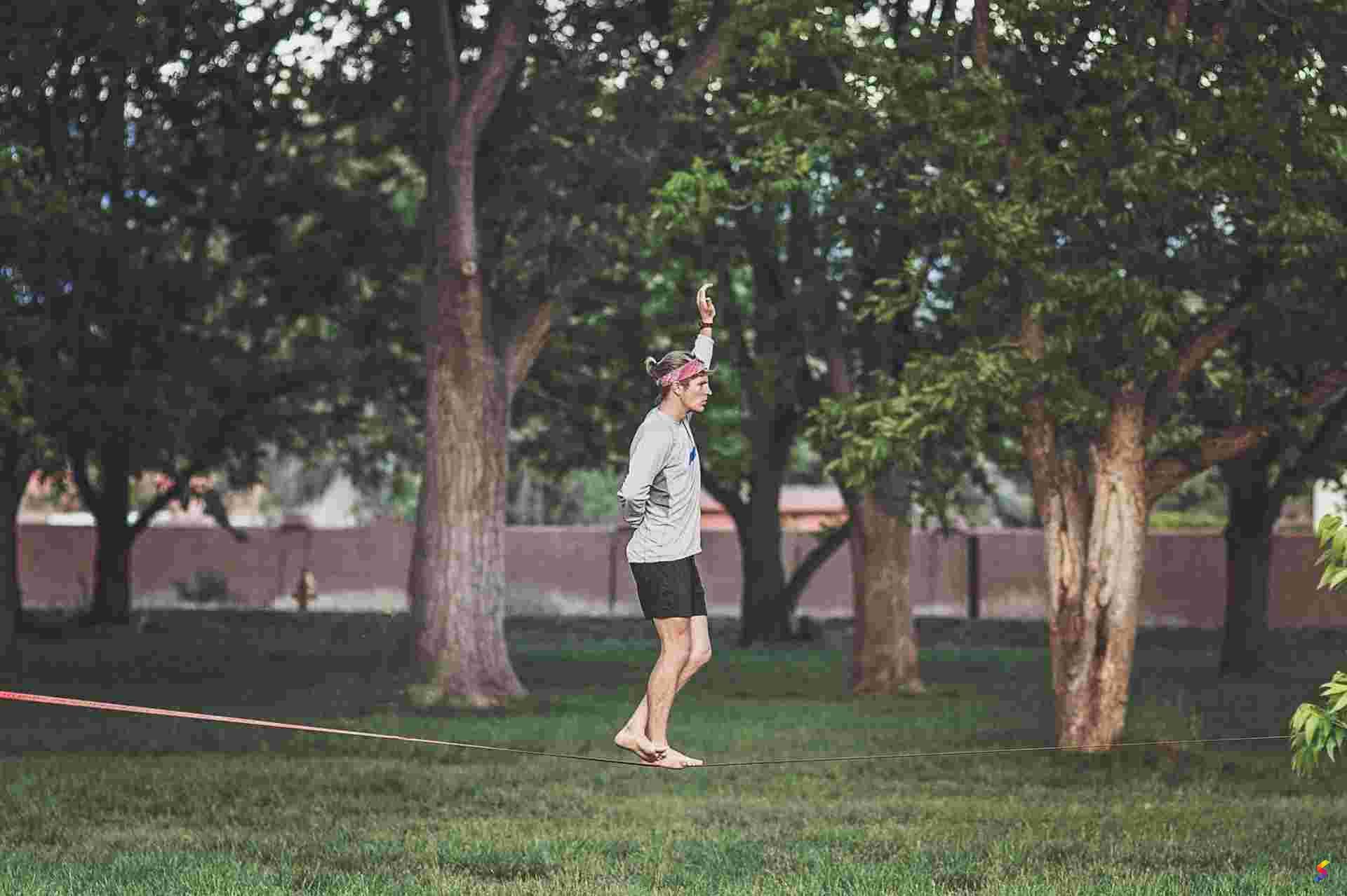 Define Funambulist, Funambulist Meaning, Funambulist Examples