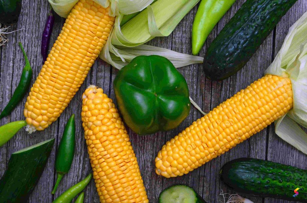 Define Corn, Corn Meaning, Corn Examples, Corn Synonyms, Corn Images ...