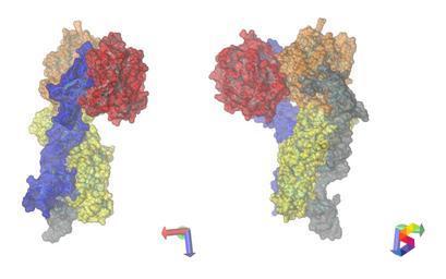 Define Coagulation, Coagulation Meaning, Coagulation Examples