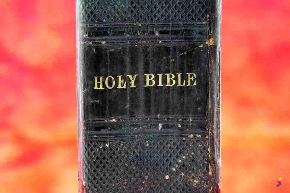 Define Dogma Dogma Meaning Dogma Examples Dogma Synonyms Dogma define-dogma-dogma-meaning-dogma-examples-dogma-synonyms-dogma