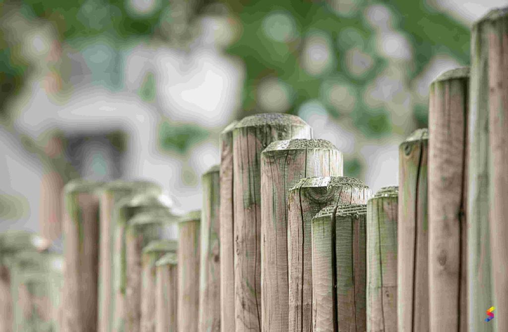 Define Fence, Fence Meaning, Fence Examples, Fence Synonyms, Fence