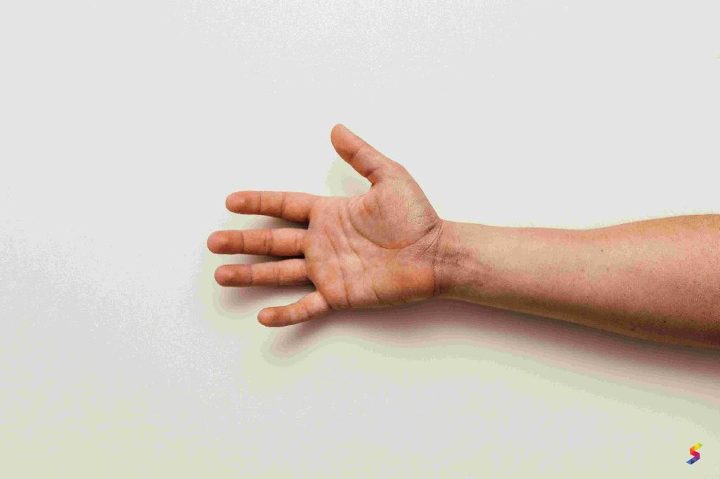 Define Arm, Arm Meaning, Arm Examples, Arm Synonyms, Arm Images, Arm Vernacular, Arm Usage, Arm