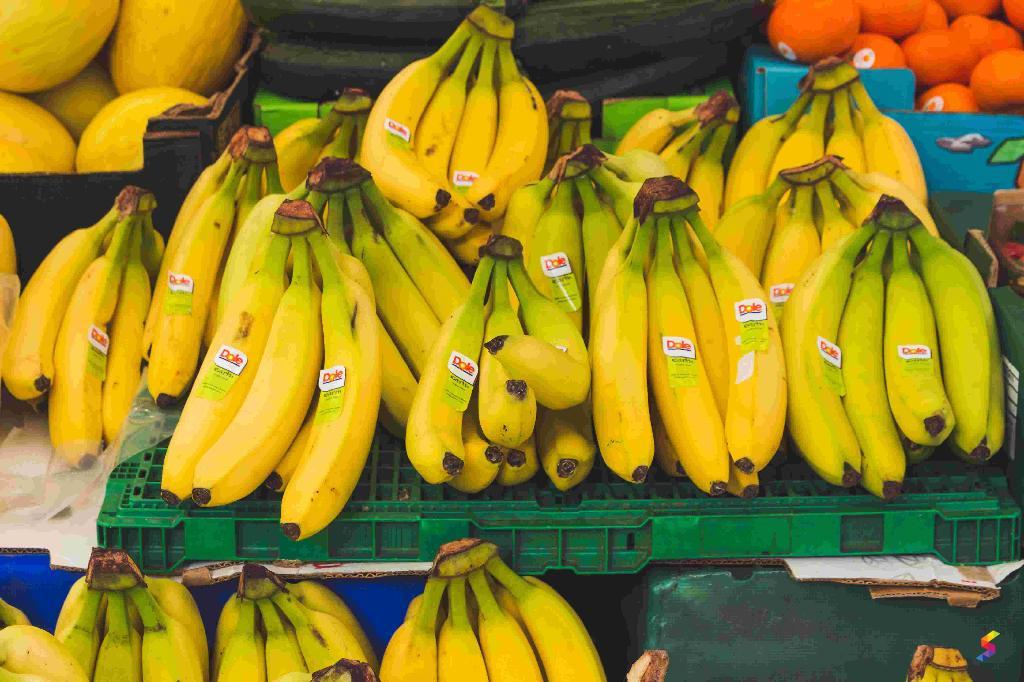 Define Banana, Banana Meaning, Banana Examples, Banana Synonyms, Banana