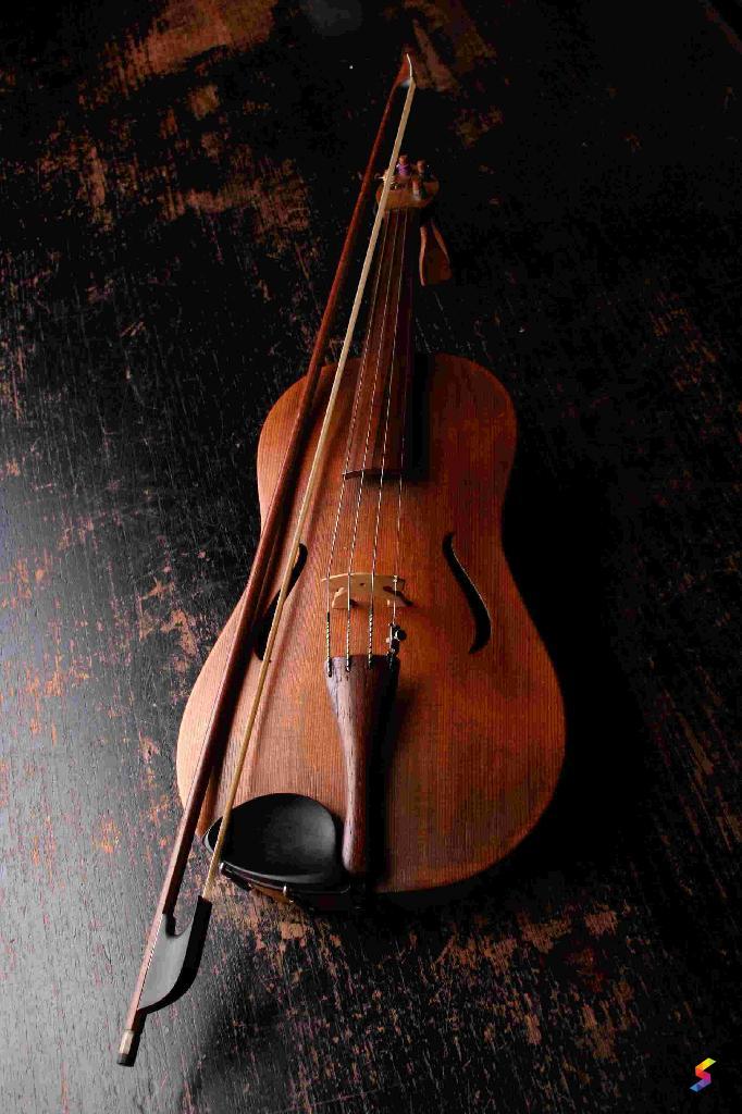 Define Violin, Violin Meaning, Violin Examples, Violin Synonyms, Violin