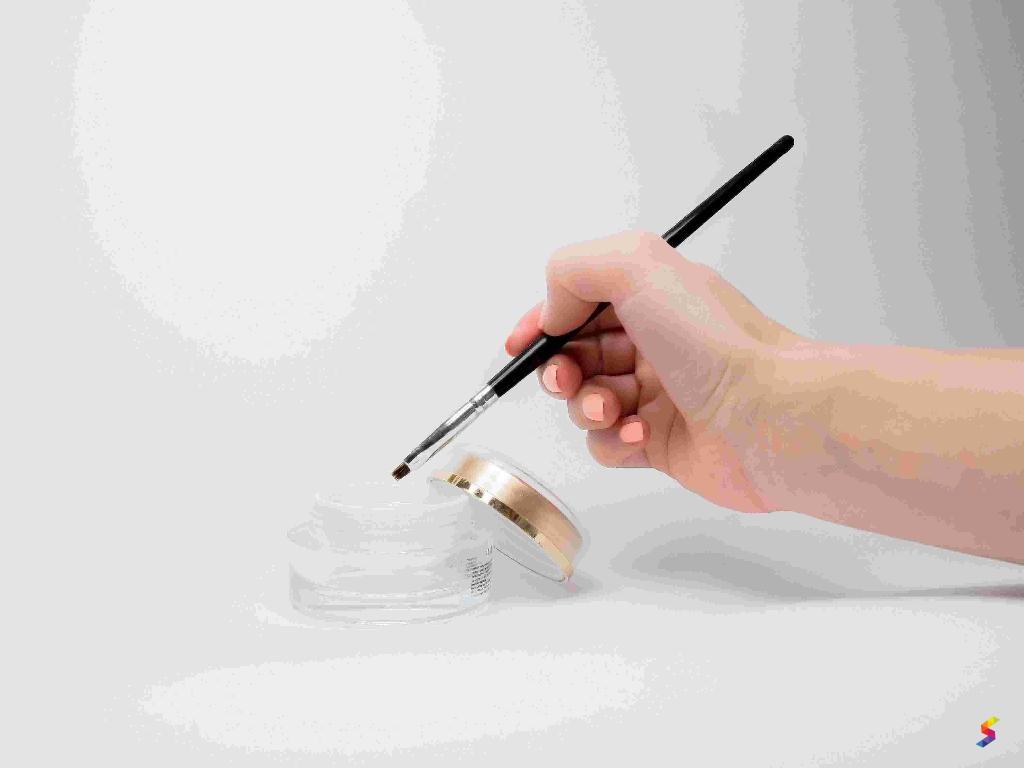 Define Brush, Brush Meaning, Brush Examples, Brush Synonyms, Brush