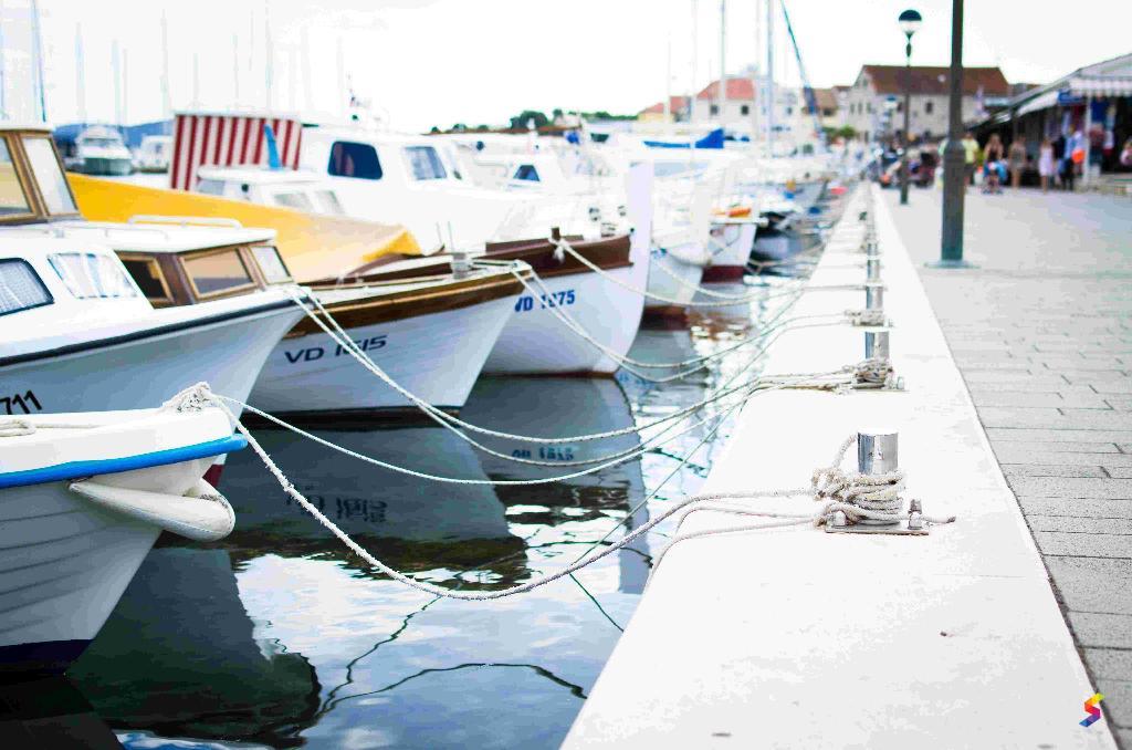 Define Dock, Dock Meaning, Dock Examples, Dock Synonyms, Dock Images ...