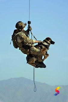 Define Hoist, Hoist Meaning, Hoist Examples, Hoist Synonyms, Hoist