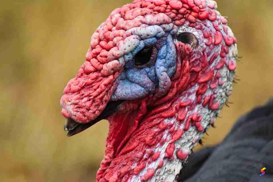 Define Lumpy, Lumpy Meaning, Lumpy Examples, Lumpy Synonyms, Lumpy ...