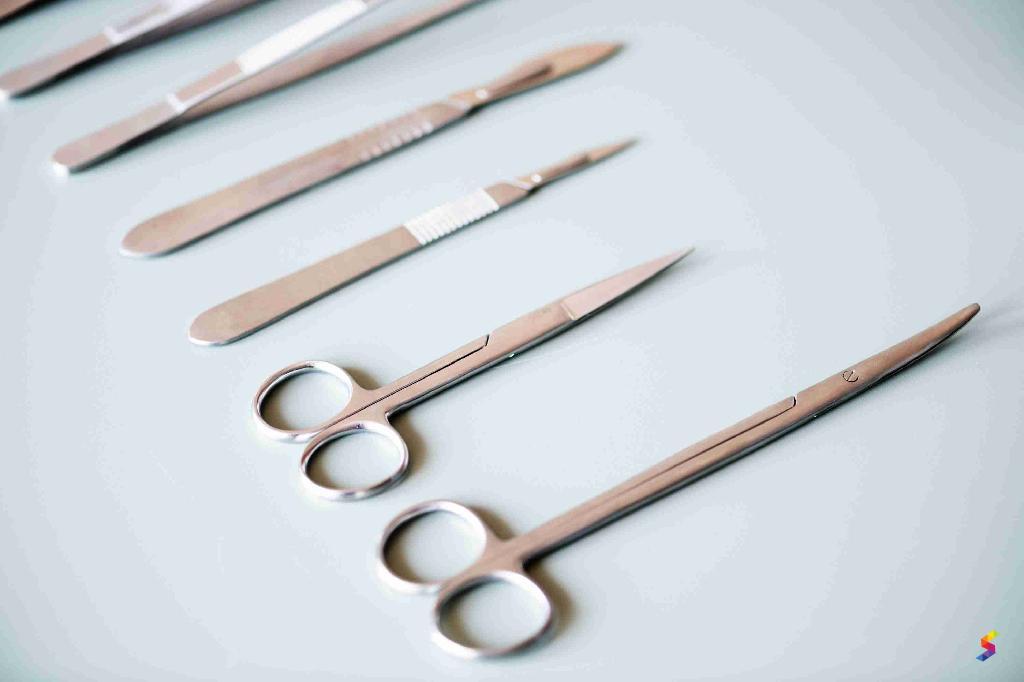 Define Scissors, Scissors Meaning, Scissors Examples, Scissors Synonyms ...