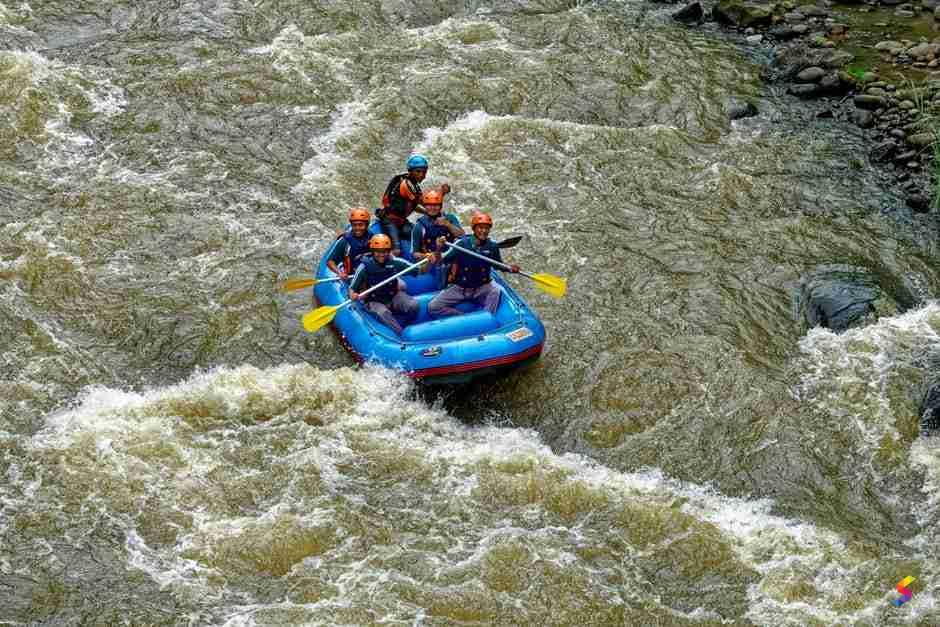 Define Raft, Raft Meaning, Raft Examples, Raft Synonyms, Raft Images, Raft Vernacular, Raft