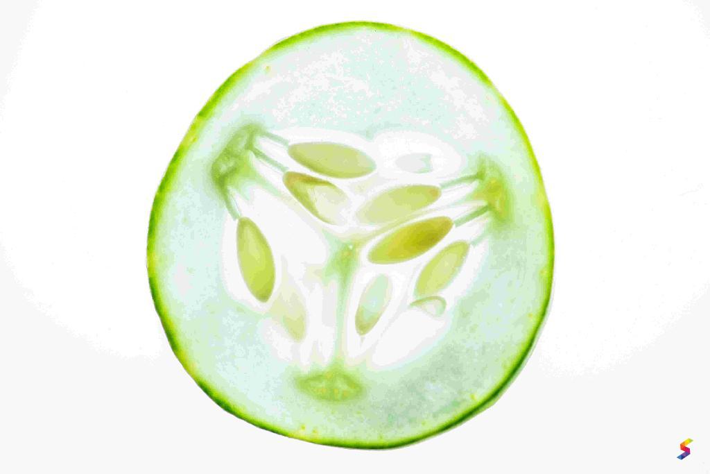 Define Piece, Piece Meaning, Piece Examples, Piece Synonyms, Piece ...